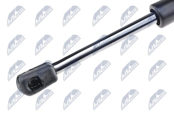 Tailgate strut NTY AE-BM-030