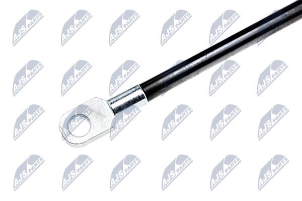 Tailgate strut NTY AE-BM-032