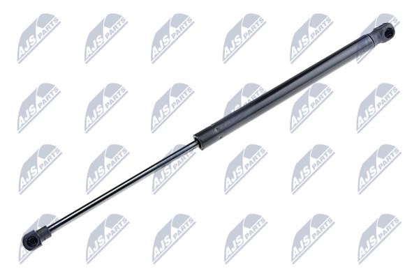 AEBM034 NTY Tailgate strut