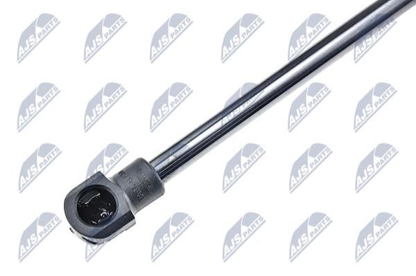 Tailgate strut NTY AE-BM-034