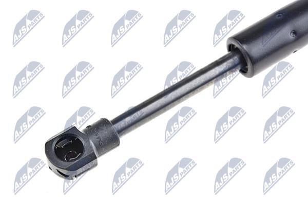 Tailgate strut NTY AE-BM-037