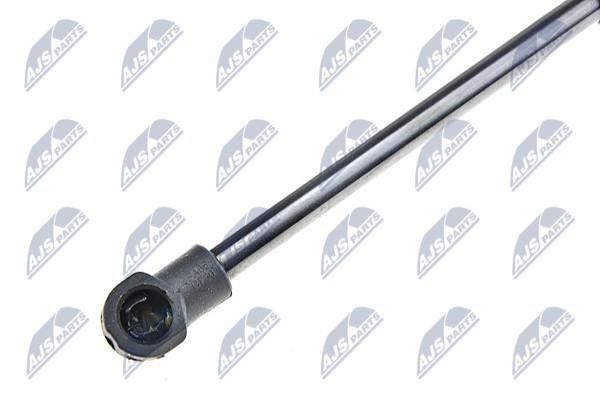 Tailgate strut NTY AE-BM-038
