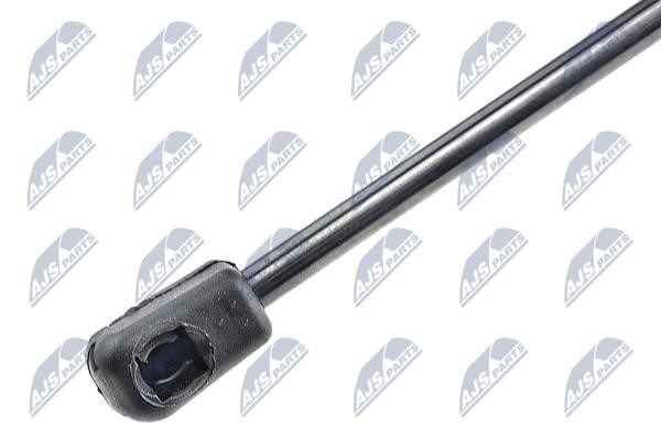 Tailgate strut NTY AE-BM-045