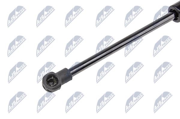 Hood shock absorber NTY AE-BM-052