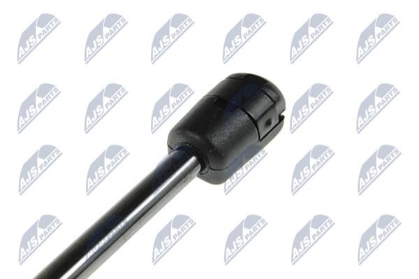 Tailgate strut NTY AE-CH-004