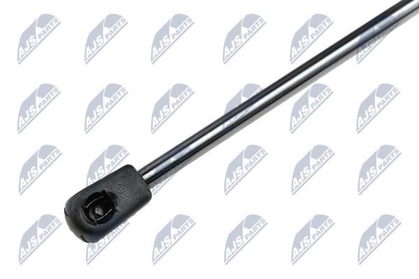 Hood shock absorber NTY AE-CH-007