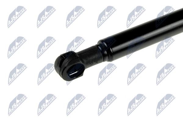 Tailgate strut NTY AE-CH-008