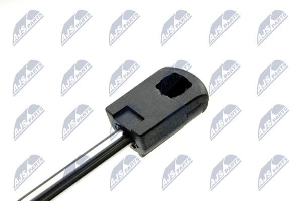 Tailgate strut NTY AE-CH-015