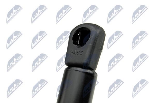Tailgate strut NTY AE-CH-017