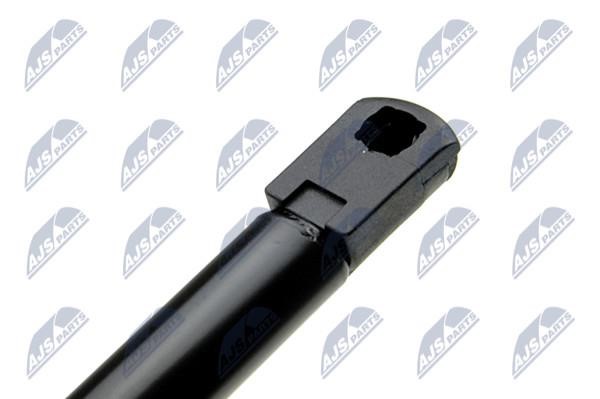 Tailgate strut NTY AE-CH-019