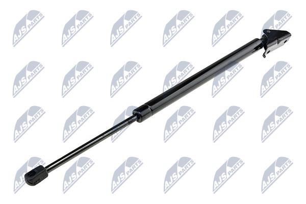 NTY Tailgate strut – price 25 PLN