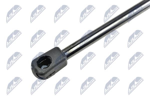 Tailgate strut NTY AE-CH-020
