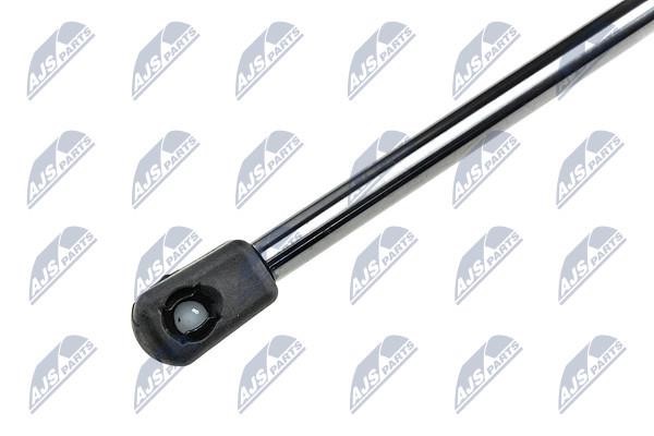 Tailgate strut NTY AE-CH-021