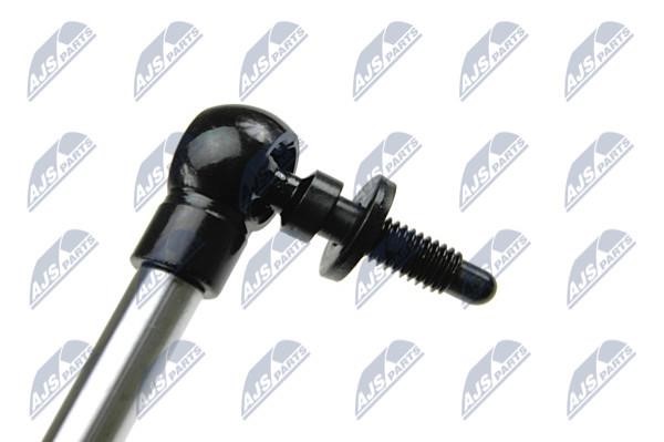 Tailgate strut NTY AE-CH-023