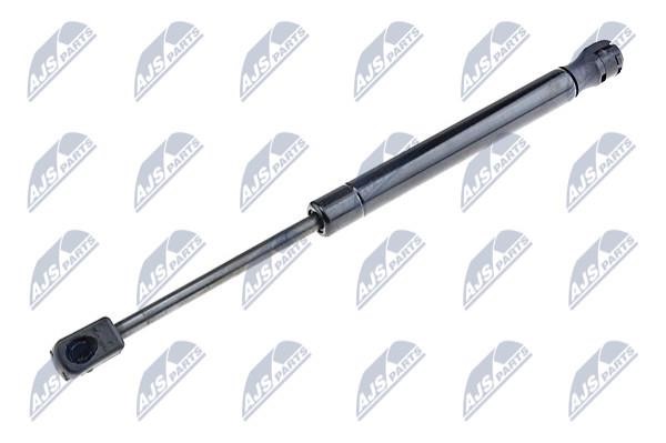 NTY AE-CH-025 Gas Spring, boot-/cargo area AECH025