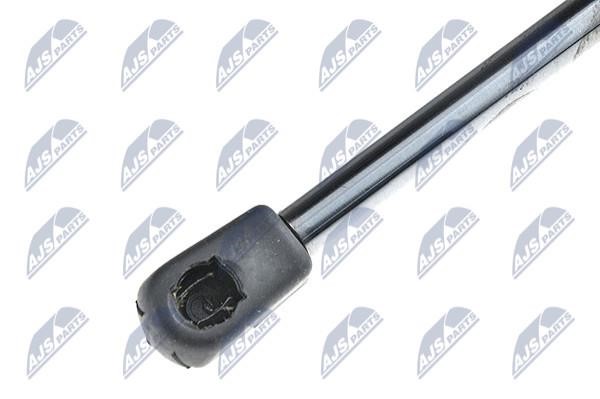 Tailgate strut NTY AE-CH-027