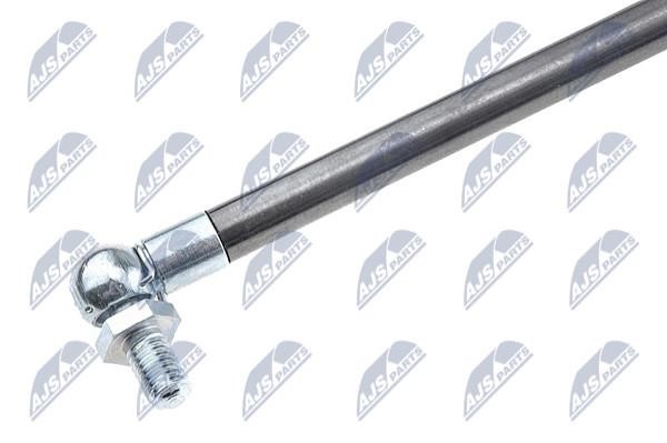 Tailgate strut NTY AE-CH-028