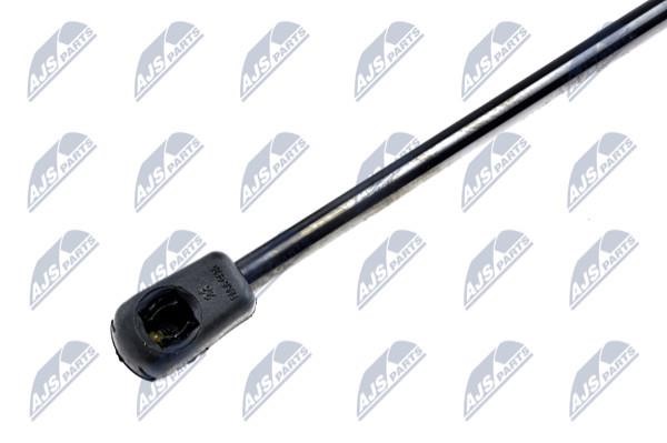 Tailgate strut NTY AE-CH-030