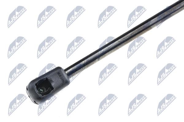 Tailgate strut NTY AE-CT-002