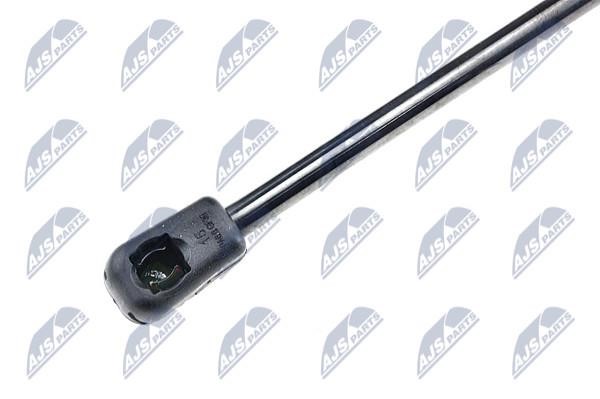 Hood shock absorber NTY AE-CT-003