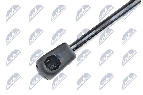 Tailgate strut NTY AE-CT-004
