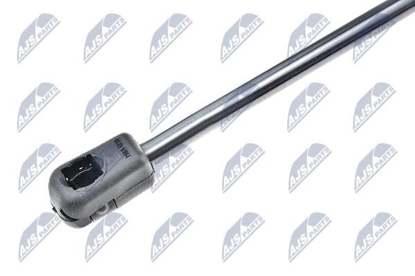 Tailgate strut NTY AE-CT-006