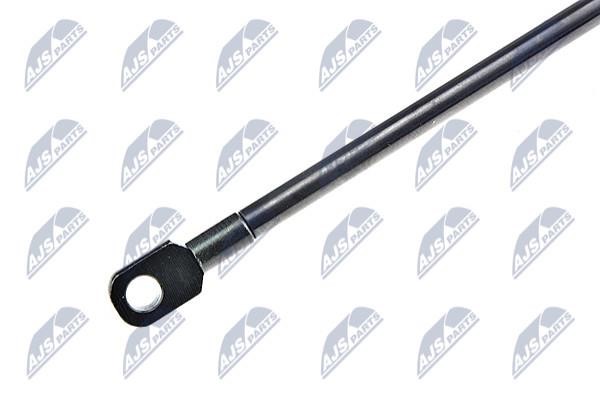 Tailgate strut NTY AE-CT-007