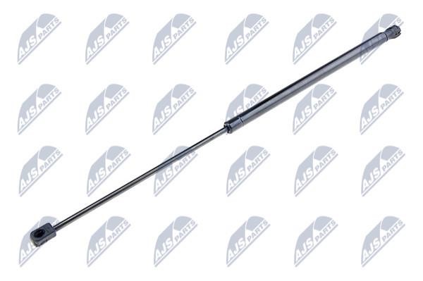 AECT010 NTY Tailgate strut