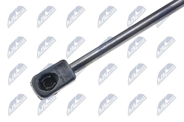 Tailgate strut NTY AE-CT-010