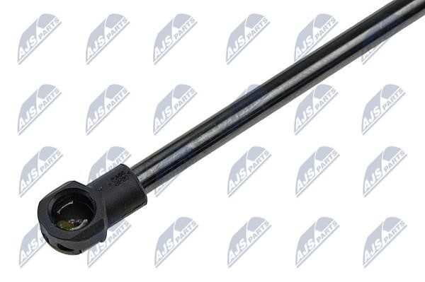 Hood shock absorber NTY AE-CT-016