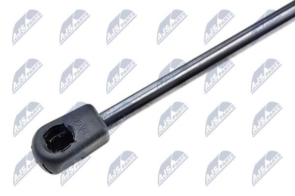 Tailgate strut NTY AE-CT-018
