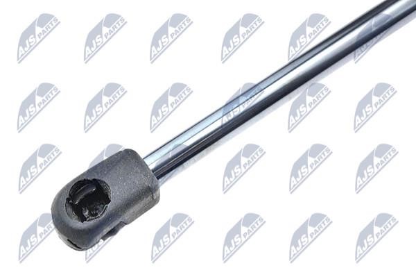 Tailgate strut NTY AE-CT-019