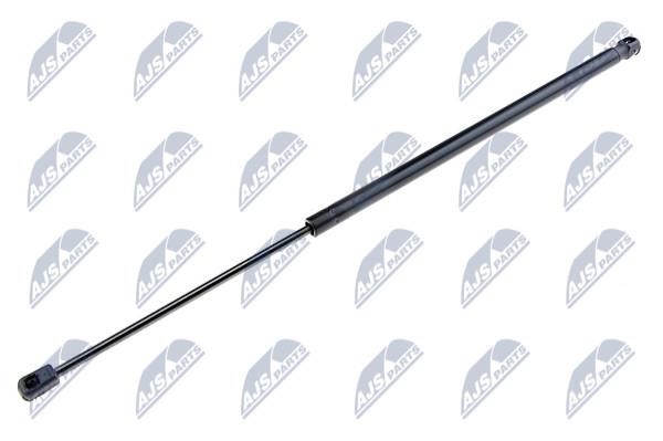 NTY AE-CT-020 Gas Spring, boot-/cargo area AECT020