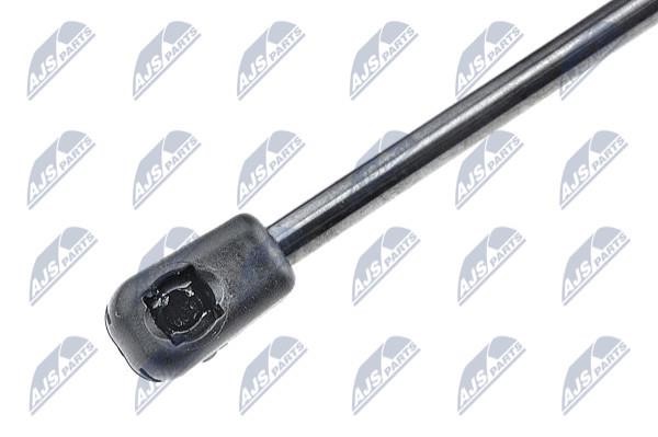 Tailgate strut NTY AE-CT-020