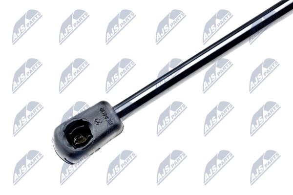 Tailgate strut NTY AE-CT-021
