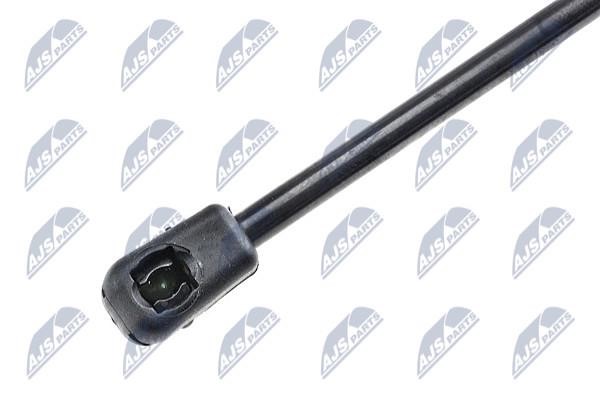 Hood shock absorber NTY AE-CT-024