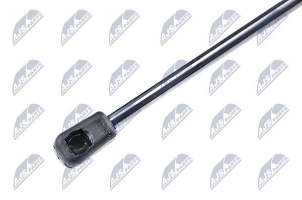 Gas Spring, boot-&#x2F;cargo area NTY AE-CT-027