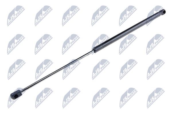 AECT028 NTY Tailgate strut