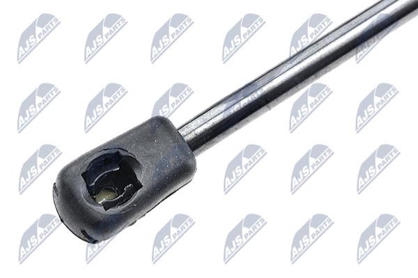 Tailgate strut NTY AE-CT-028