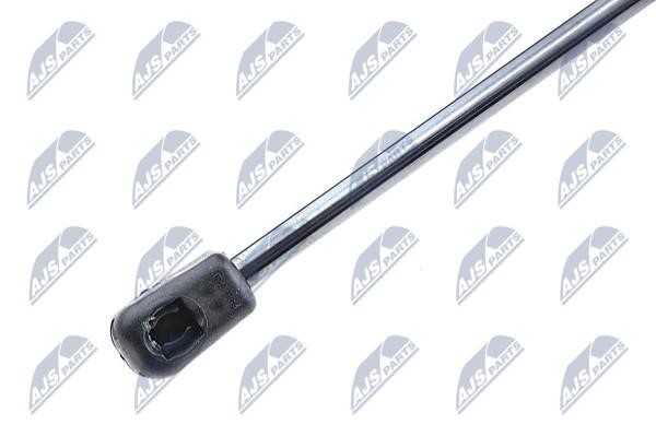 Tailgate strut NTY AE-CT-029