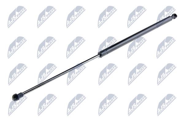 AECT030 NTY Tailgate strut