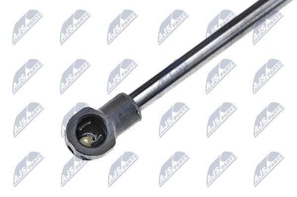 Tailgate strut NTY AE-CT-030