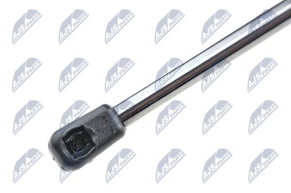 Tailgate strut NTY AE-CT-031
