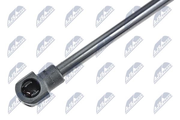 Tailgate strut NTY AE-CT-033