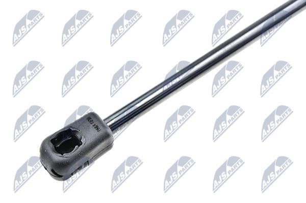 Tailgate strut NTY AE-CT-034