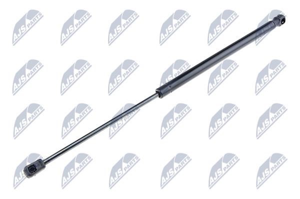AECT036 NTY Tailgate strut