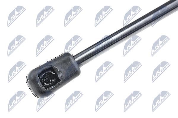 Tailgate strut NTY AE-CT-036