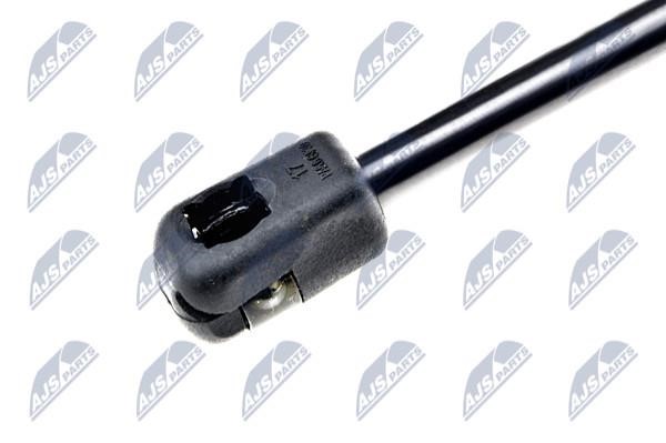 Tailgate strut NTY AE-CT-039