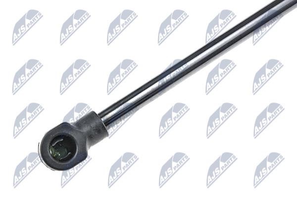 Tailgate strut NTY AE-CT-041