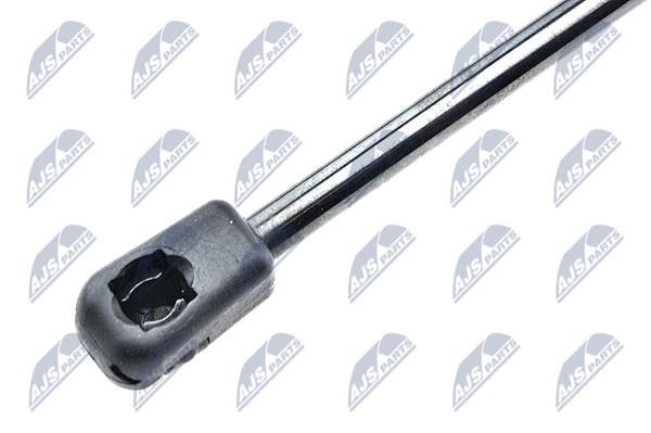 Tailgate strut NTY AE-CT-042